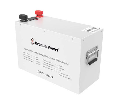 Dragon Power DPLB-12300 12.8V 300Ah LiFePO4 Lithium Iron Phosphate solar backup battery casing.