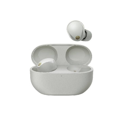 Sony WF-1000XM5 Wireless Noise Cancelling Headphones (Silver)